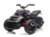 Kinder Trike | elektrische kindermotor Spyder 12V zwart