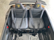 24 volt Elektrische kinderauto Lamborghini Huracan twee persoons