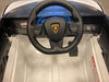 Lamborghini Sian kinderauto 12 volt roze - RideCars